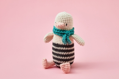 Learn to Crochet - Kit + Video Guide