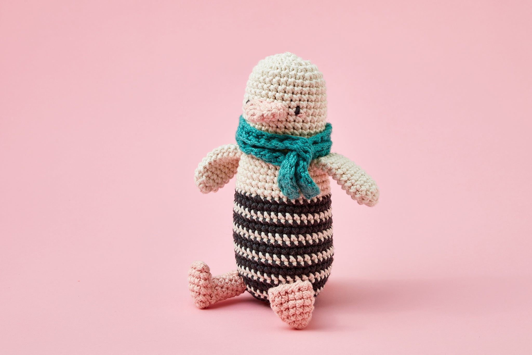Learn to Crochet - Kit + Video Guide